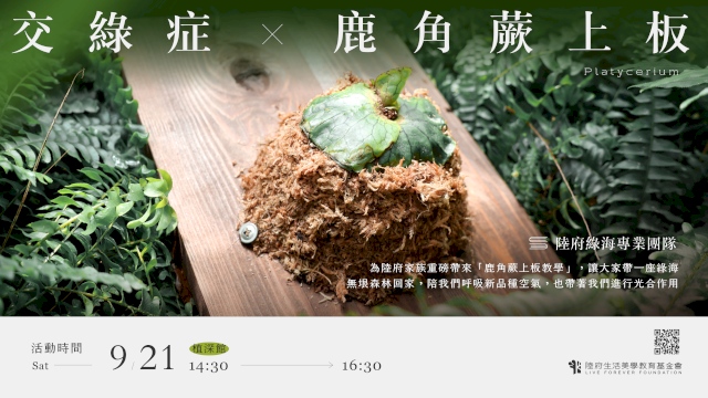 (已額滿)交綠症—鹿角蕨上板
