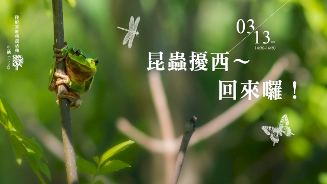 昆蟲擾西回來囉!