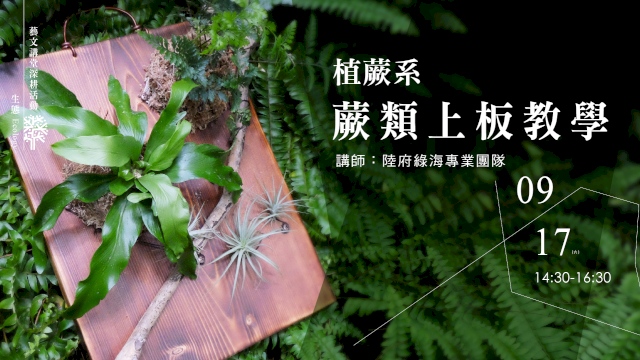 植蕨系.蕨類上板教學