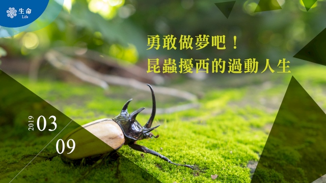 勇敢做夢吧!昆蟲擾西的過動人生
