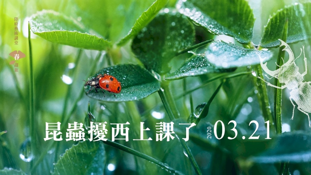 昆蟲擾西上課囉~