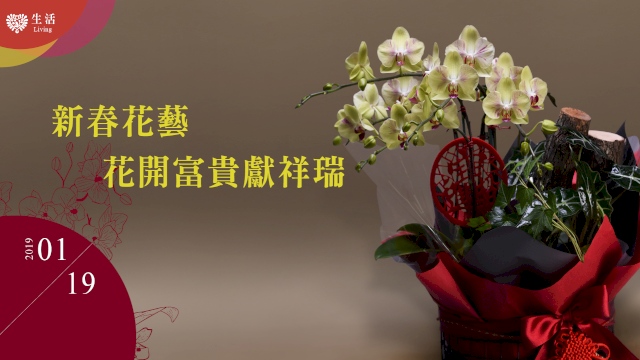 新春花藝 花開富貴獻祥瑞
