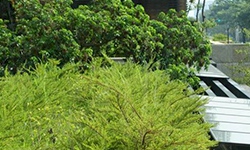 台中建商 推綠能宅能成趨勢