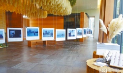 陳敏佳屋頂上 尋找城市天際線